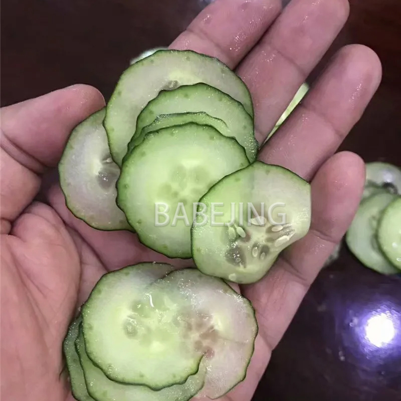 Electric Mini Scallion Chopper - đánh giá và giá Commercial Kitchen Appliance